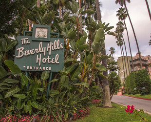 THE BEVERLY HILLS HOTEL